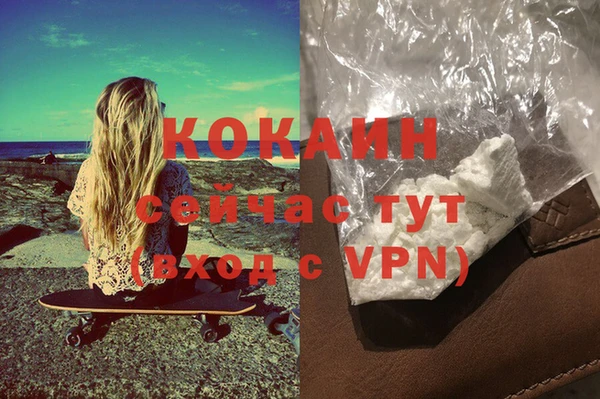 винт Верея