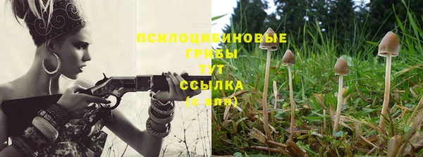 винт Верхний Тагил